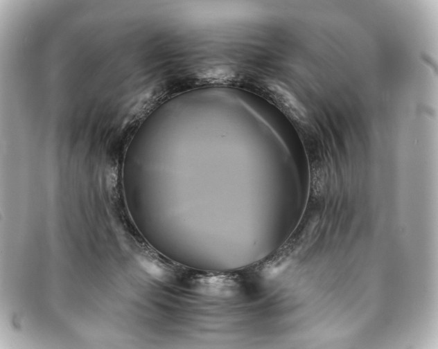 X0000094220365200710261234