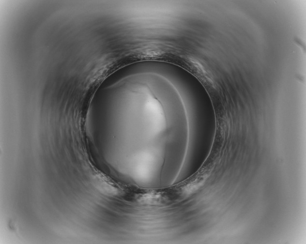 X0000094220366200710261234