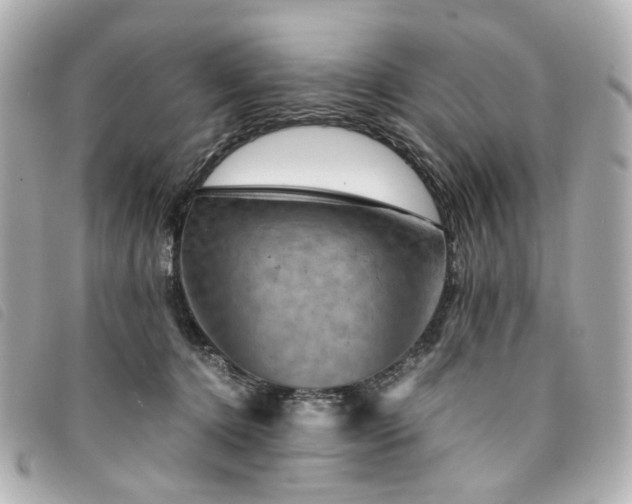 X0000094220368200710261234