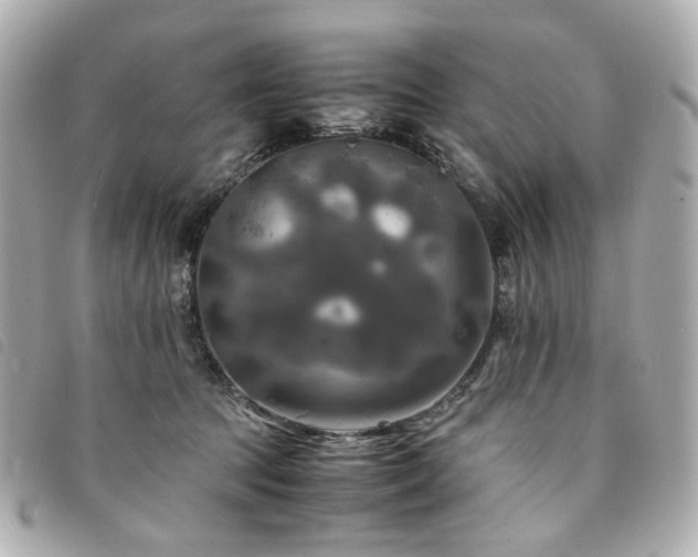 X0000094220369200710261234