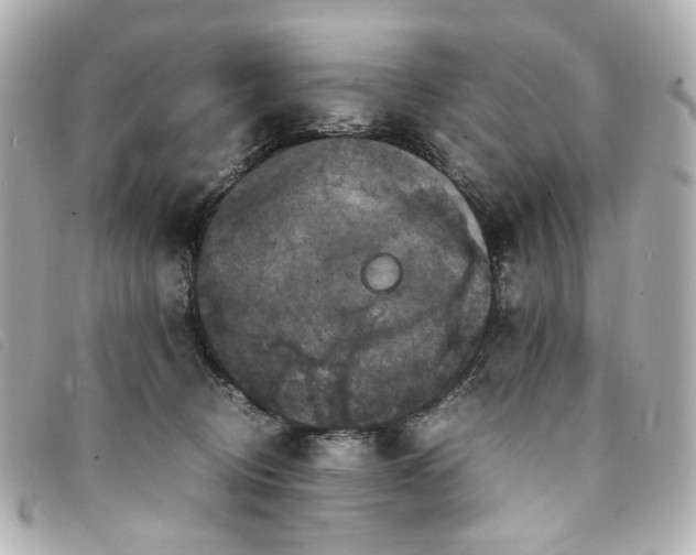 X0000094220370200710261234