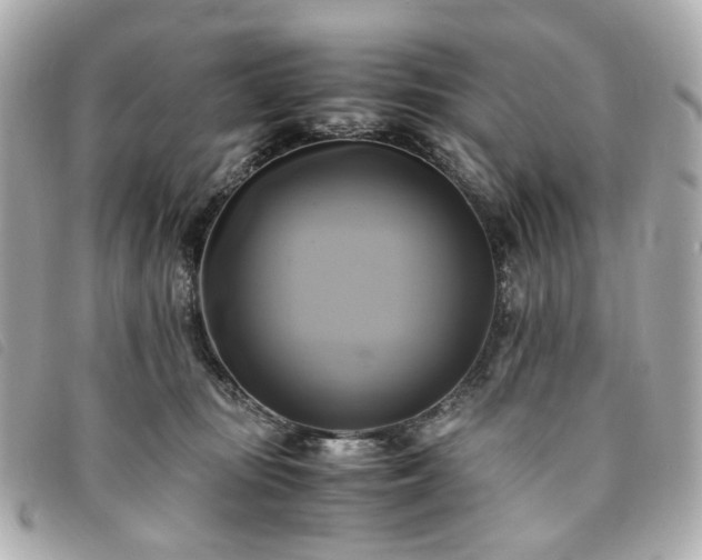 X0000094220371200710261234