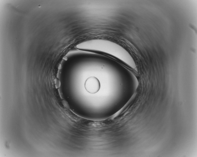 X0000094220372200710261234