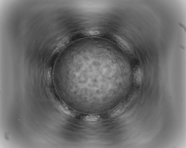 X0000094220373200710261234