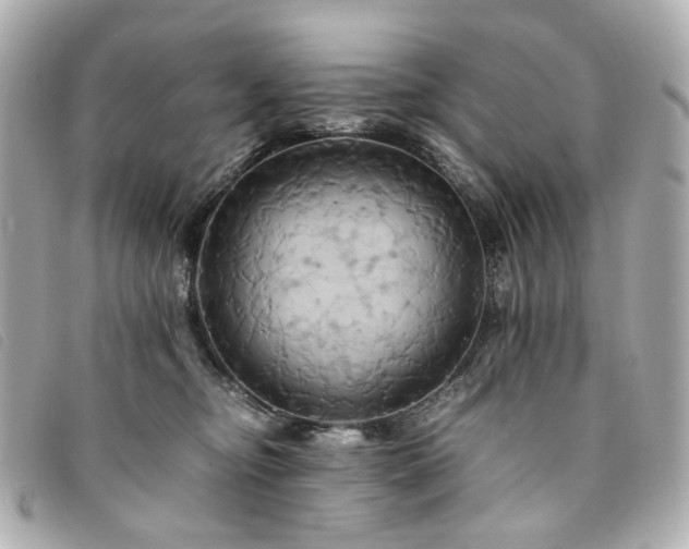 X0000094220374200710261234