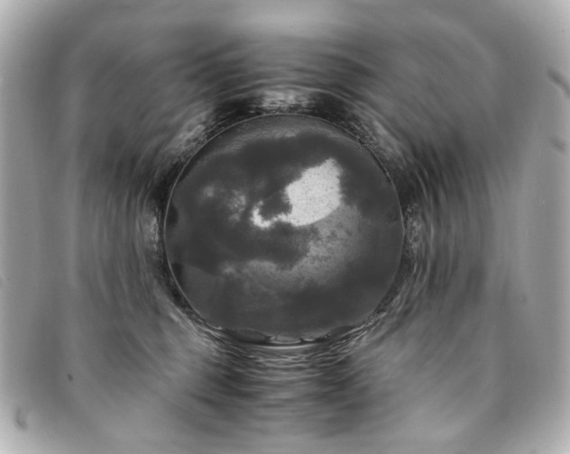 X0000094220375200710261234