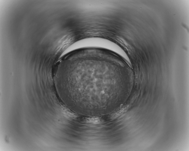 X0000094220377200710261234