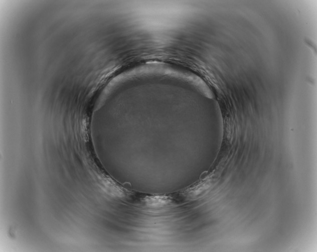 X0000094220378200710261234