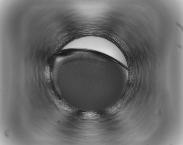 X0000094220380200710261234