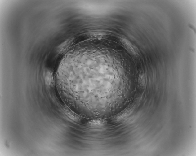 X0000094220381200710261234