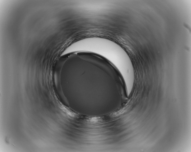 X0000094220382200710261234