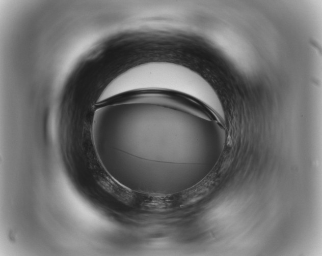 X0000094220383200710261234