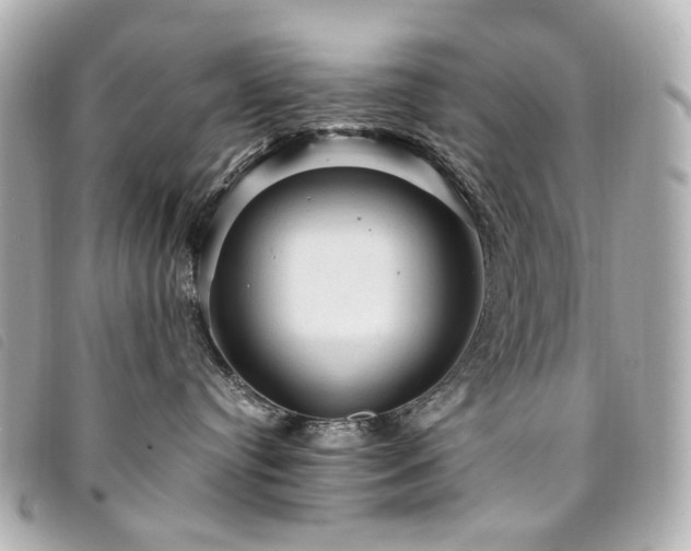 X0000094220384200710261234