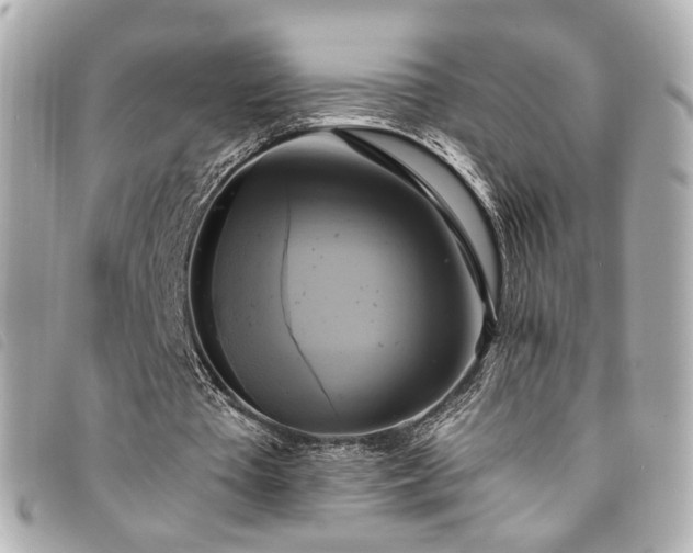 X0000094220385200710261234