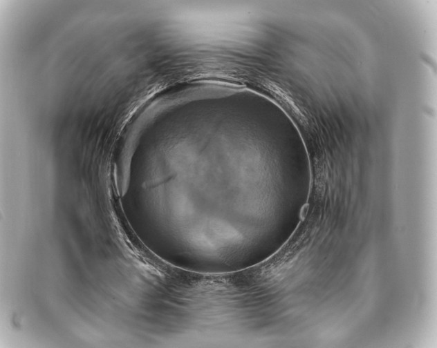 X0000094220386200710261234