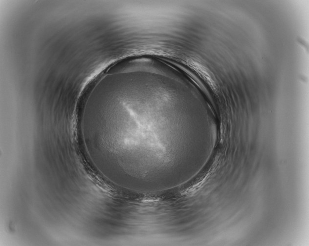 X0000094220388200710261234