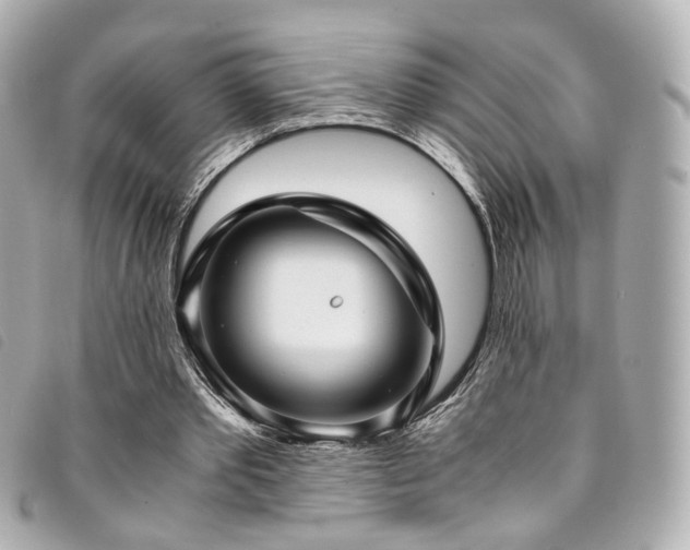 X0000094220389200710261234