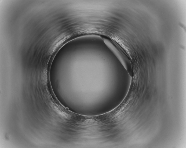 X0000094220390200710261234