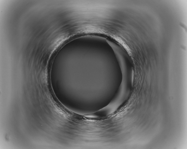 X0000094220391200710261234