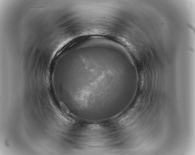 X0000094220392200710261234