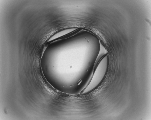 X0000094220393200710261234