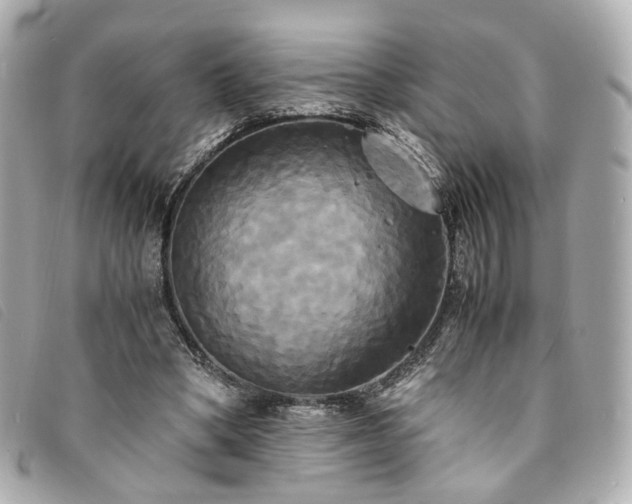 X0000094220394200710261234