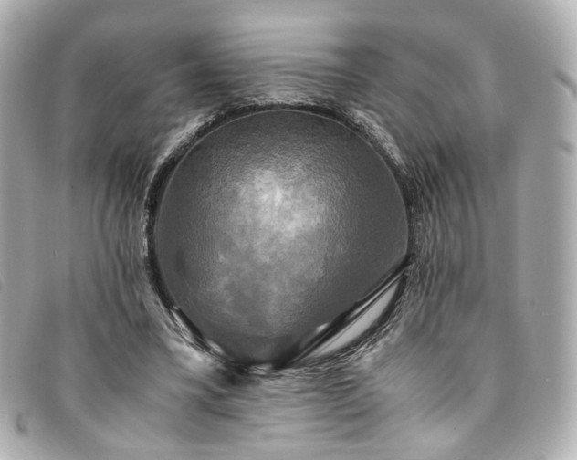 X0000094220395200710261234