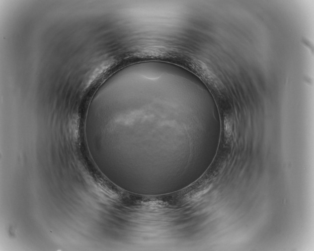 X0000094220396200710261234