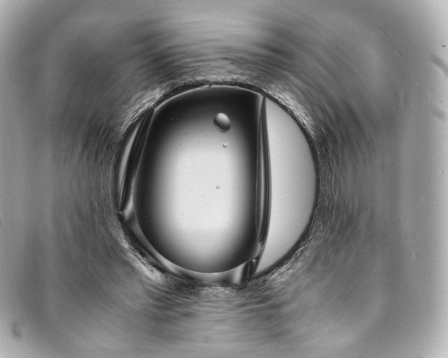 X0000094220397200710261234