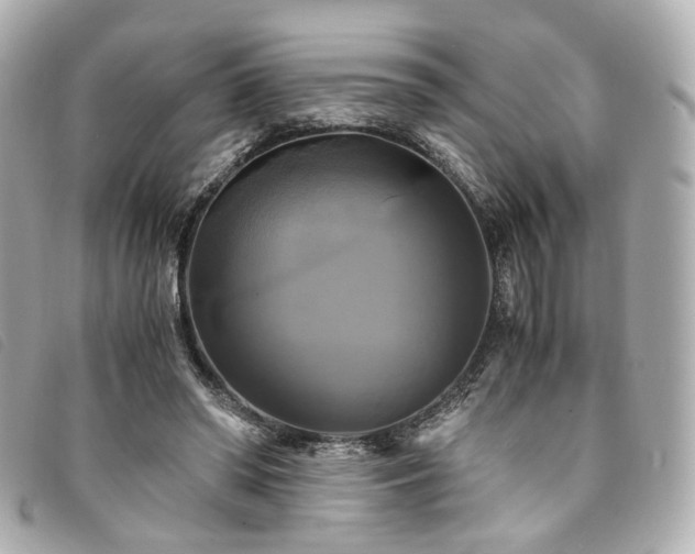 X0000094220398200710261234