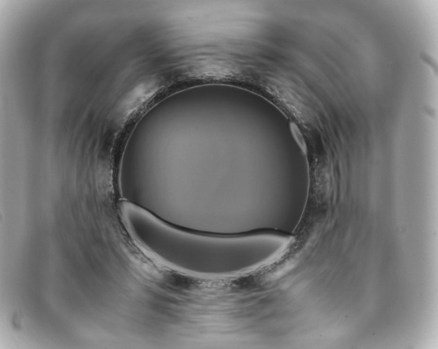 X0000094220399200710261234