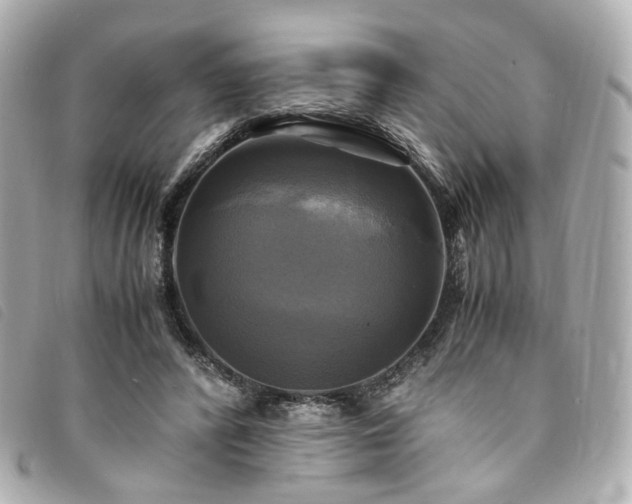 X0000094220400200710261234