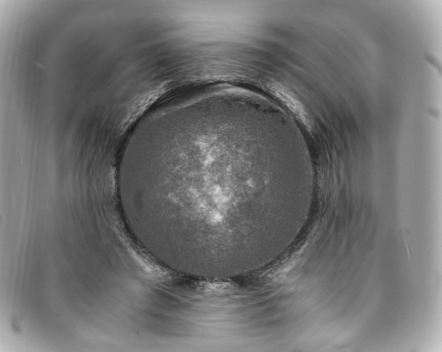 X0000094220401200710261234