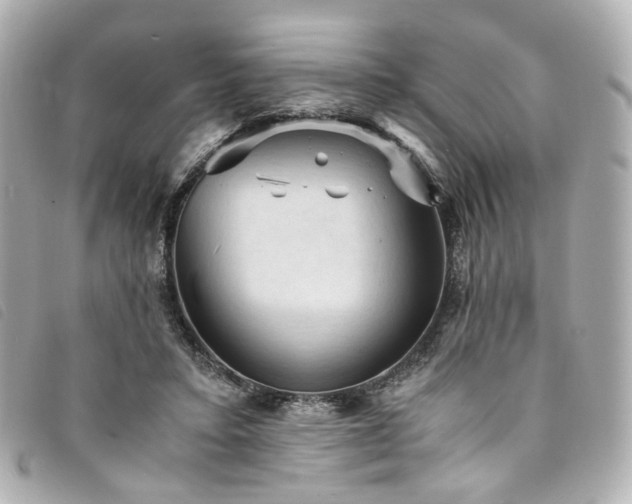 X0000094220403200710261234