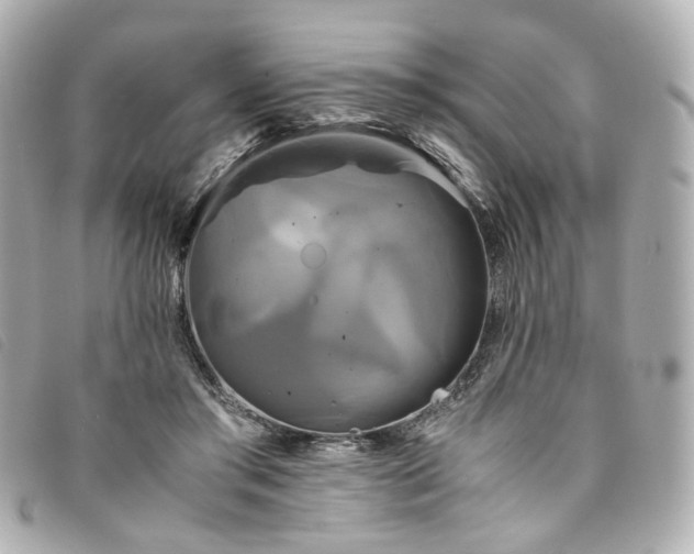 X0000094220405200710261234