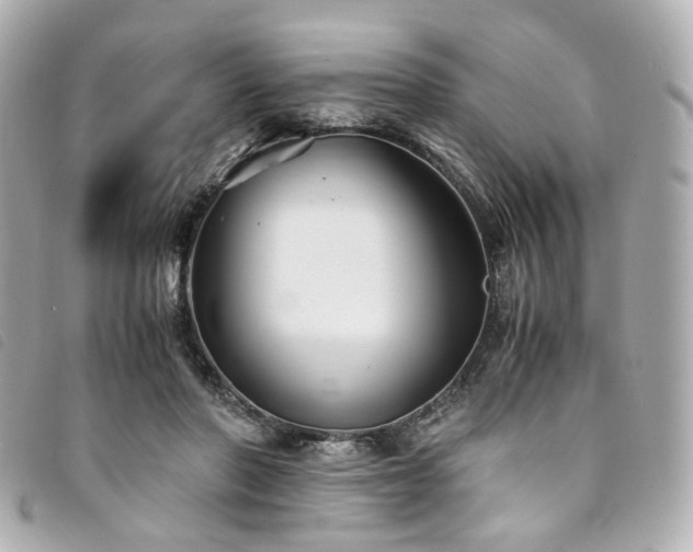 X0000094220406200710261234