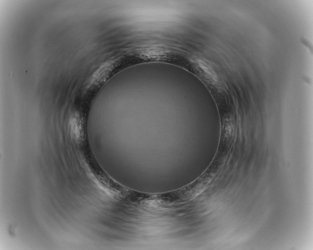 X0000094220408200710261234