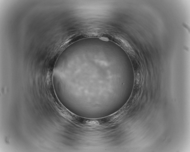 X0000094220409200710261234