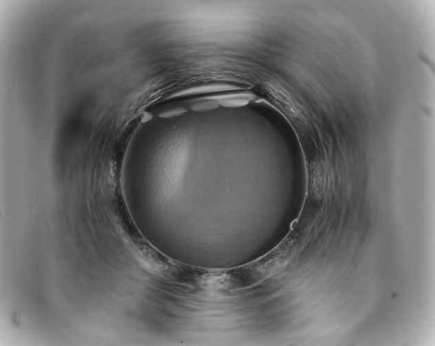 X0000094220410200710261234