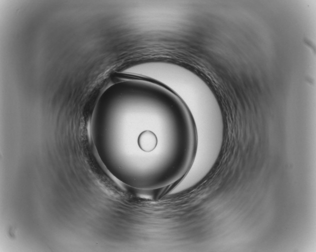 X0000094220411200710261234