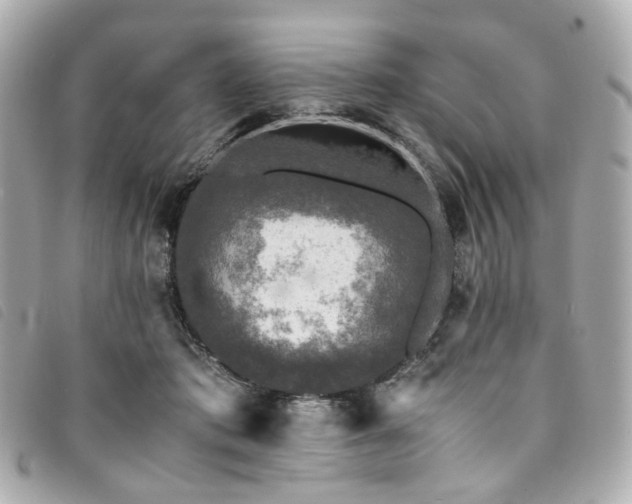 X0000094220413200710261233