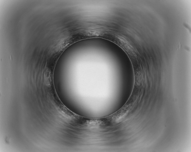 X0000094220414200710261233