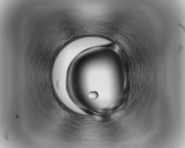 X0000094220415200710261233