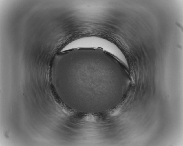 X0000094220416200710261233