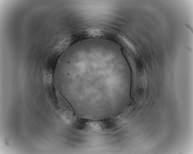 X0000094220417200710261233