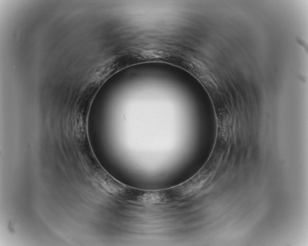 X0000094220418200710261233