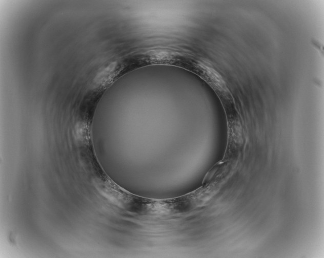 X0000094220419200710261233