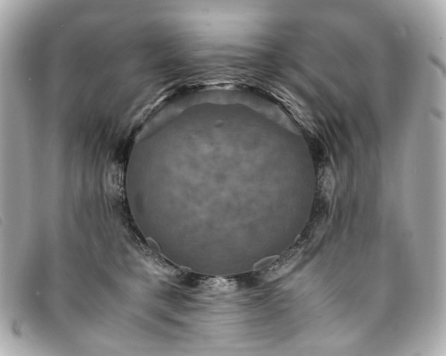 X0000094220421200710261233