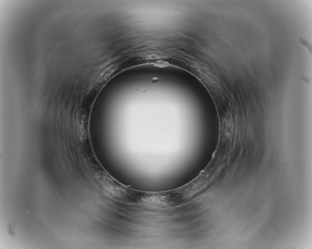 X0000094220422200710261233