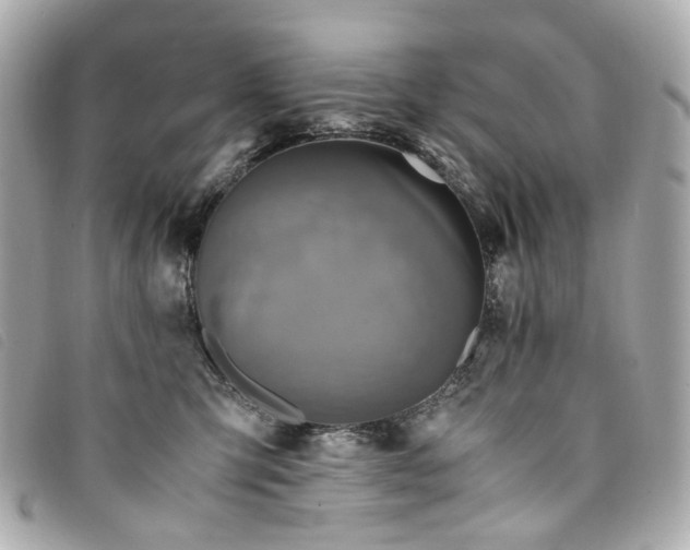 X0000094220423200710261233